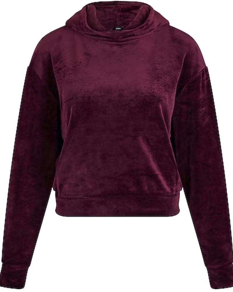 Front of a size L Velour Cropped Pullover Top in Purple in Purple by Juicy Couture. | dia_product_style_image_id:341264